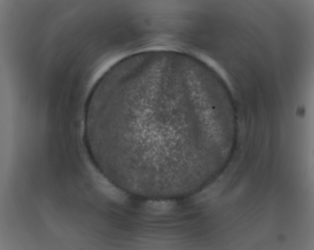 X0000092291415200709281257