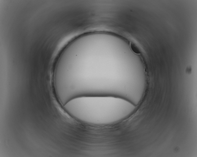 X0000092291416200709281257