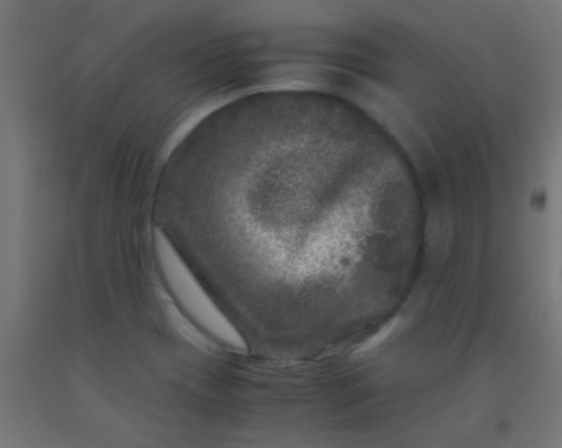 X0000092291417200709281257