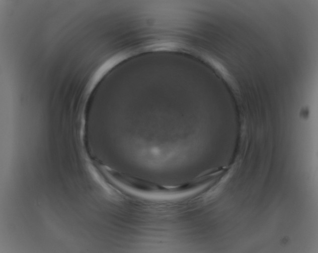 X0000092291418200709281257