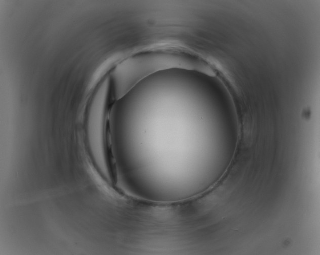 X0000092291422200709281257