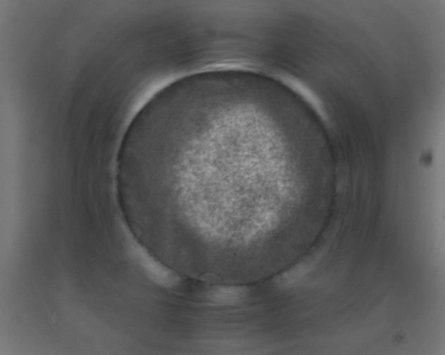 X0000092291423200709281257