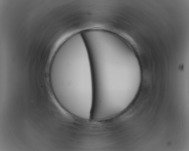 X0000092291424200709281257