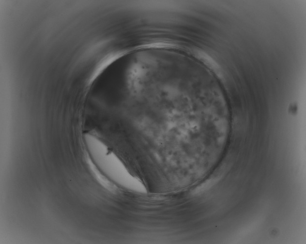 X0000092291425200709281257