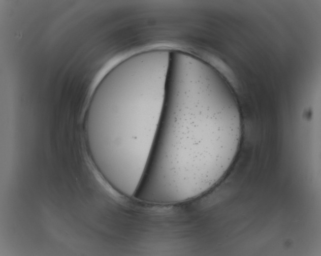 X0000092291428200709281257