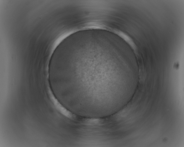 X0000092291431200709281257