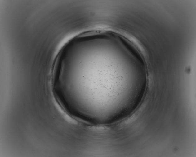 X0000092291432200709281257