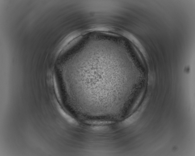 X0000092291433200709281257