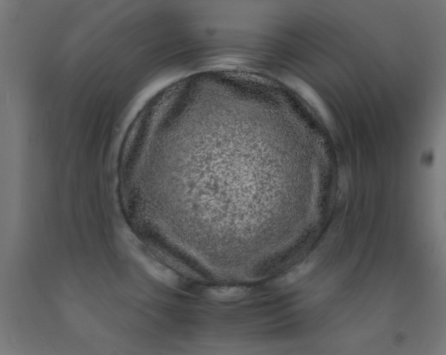 X0000092291435200709281257