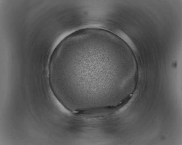 X0000092291436200709281257