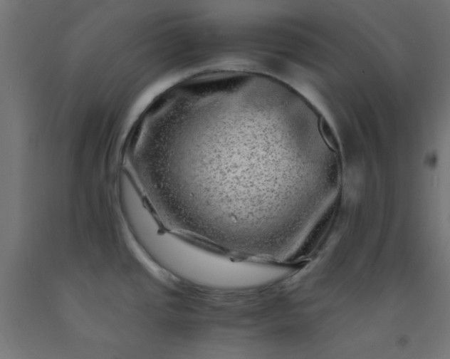 X0000092291437200709281257