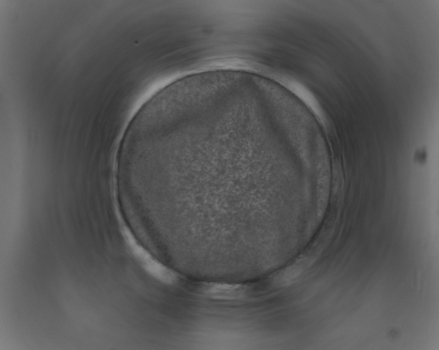 X0000092291439200709281257