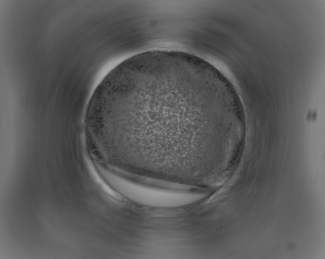 X0000092291440200709281257