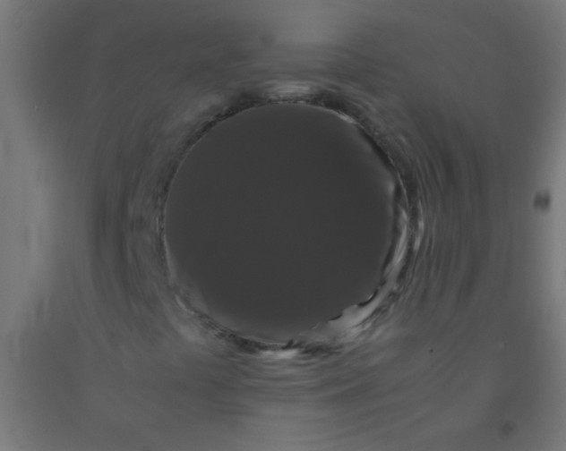 X0000092291441200709281256