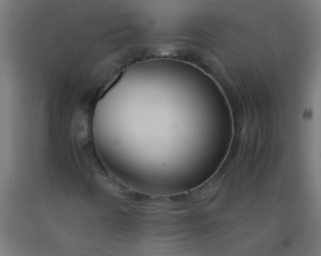 X0000092291442200709281256