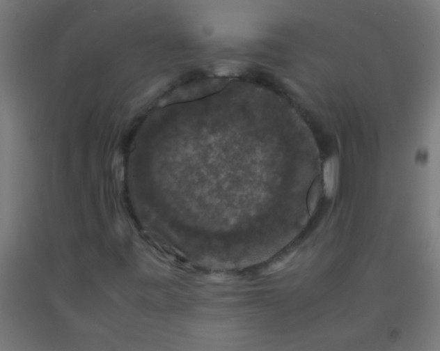 X0000092291443200709281256