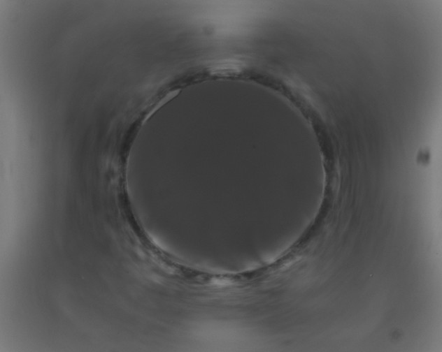 X0000092291445200709281256