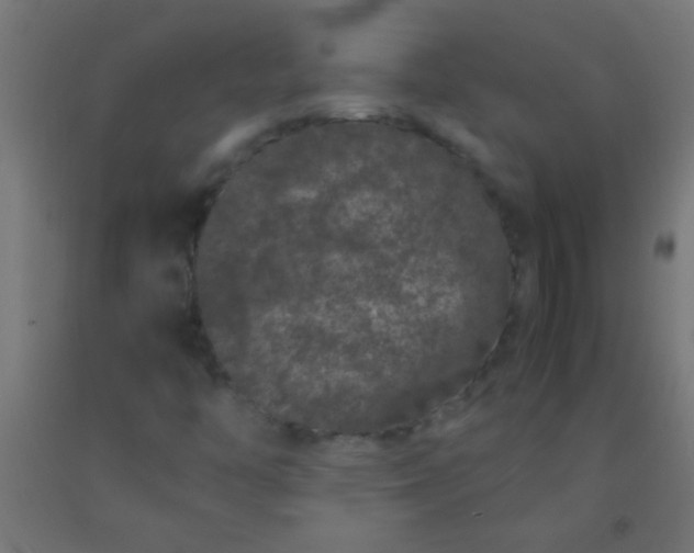 X0000092291446200709281256