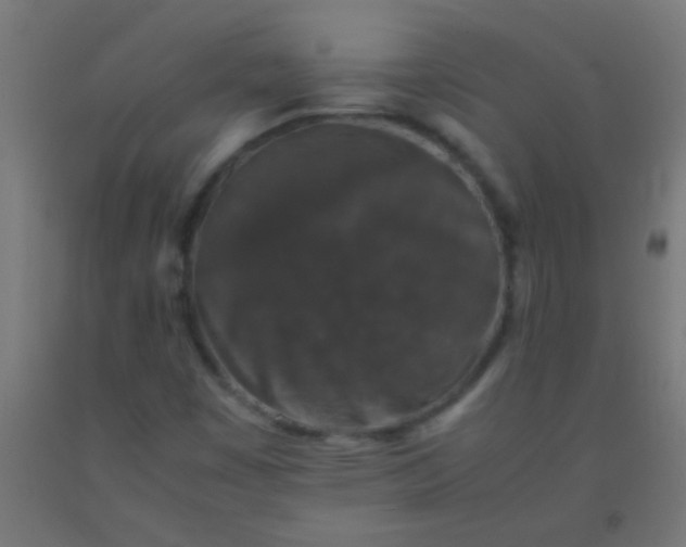 X0000092291449200709281256