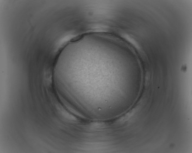 X0000092291451200709281256