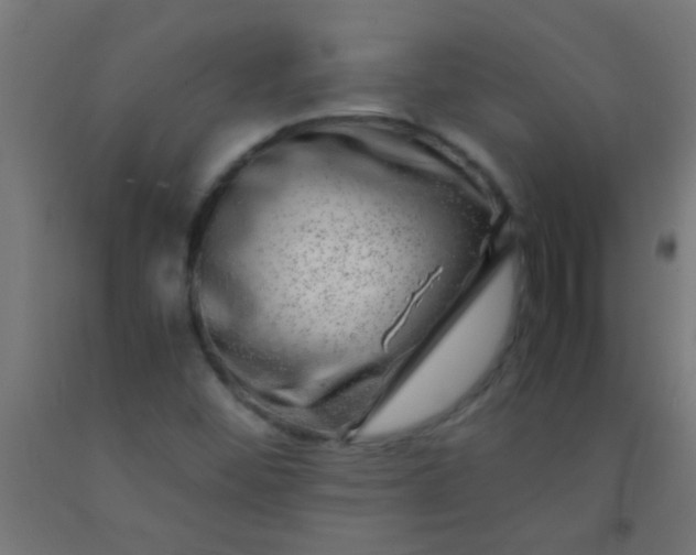 X0000092291452200709281256