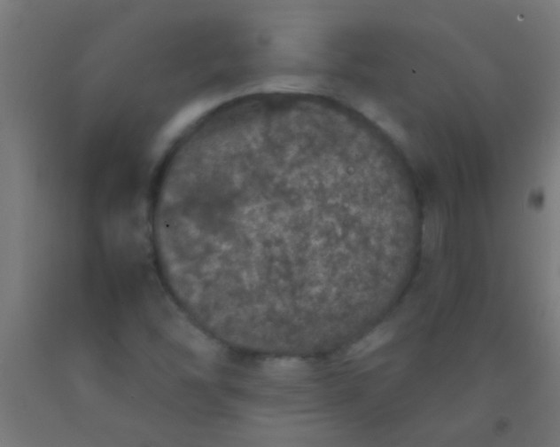 X0000092291454200709281256