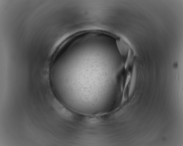 X0000092291460200709281256