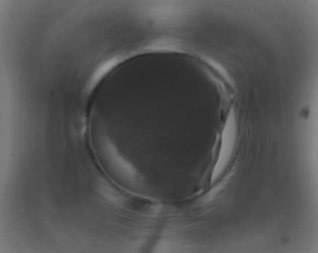 X0000092291461200709281256