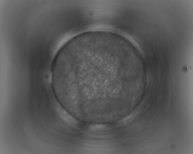 X0000092291462200709281256