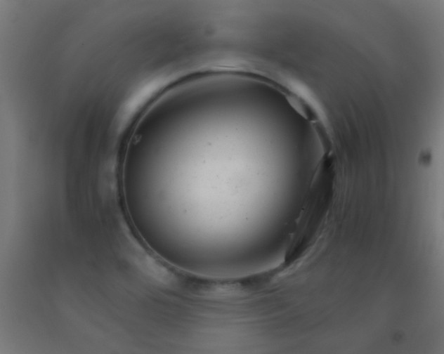 X0000092291464200709281256