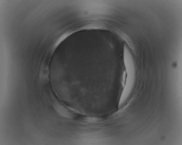 X0000092291465200709281256