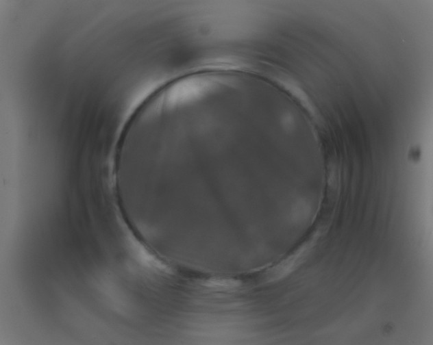 X0000092291466200709281256