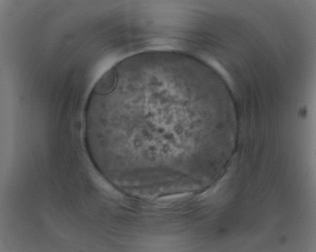 X0000092291467200709281256