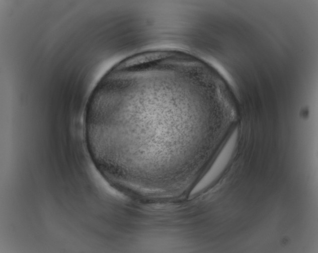 X0000092291468200709281256