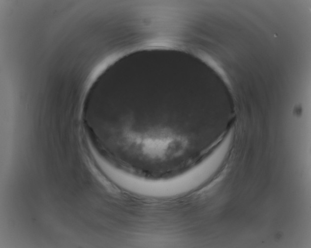 X0000092291469200709281256