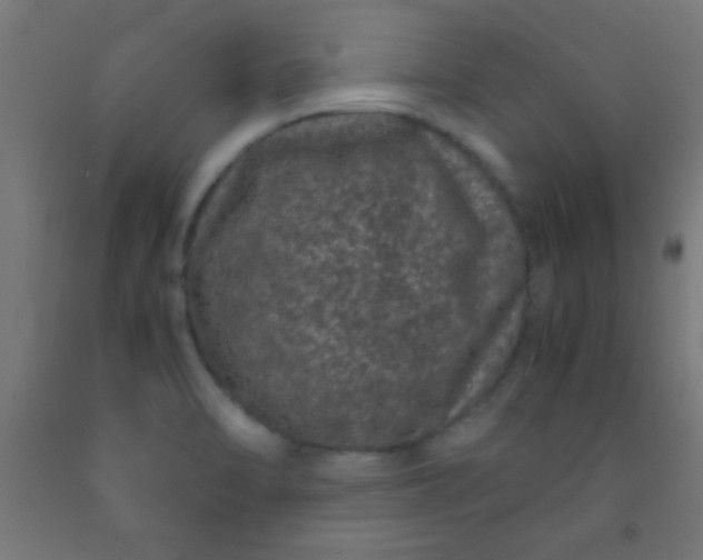 X0000092291470200709281256