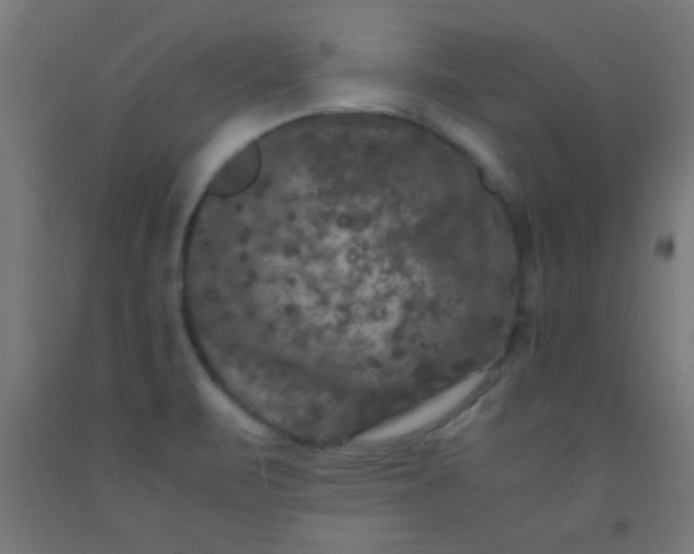 X0000092291471200709281256