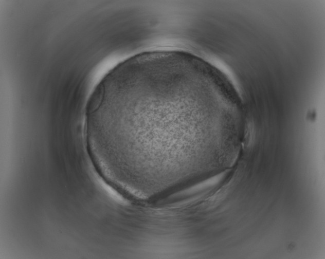 X0000092291472200709281256