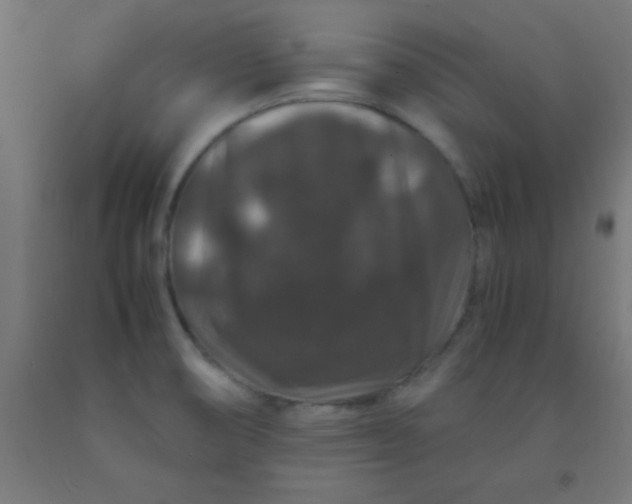 X0000092291474200709281256