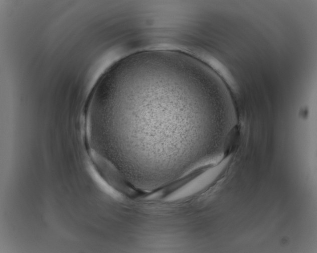 X0000092291476200709281256