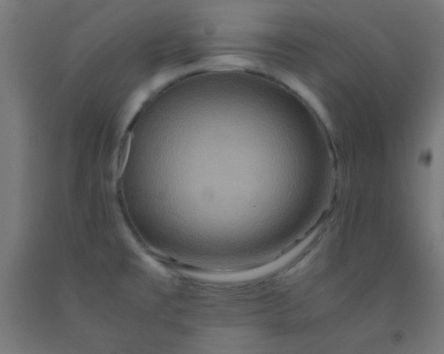 X0000092291477200709281256