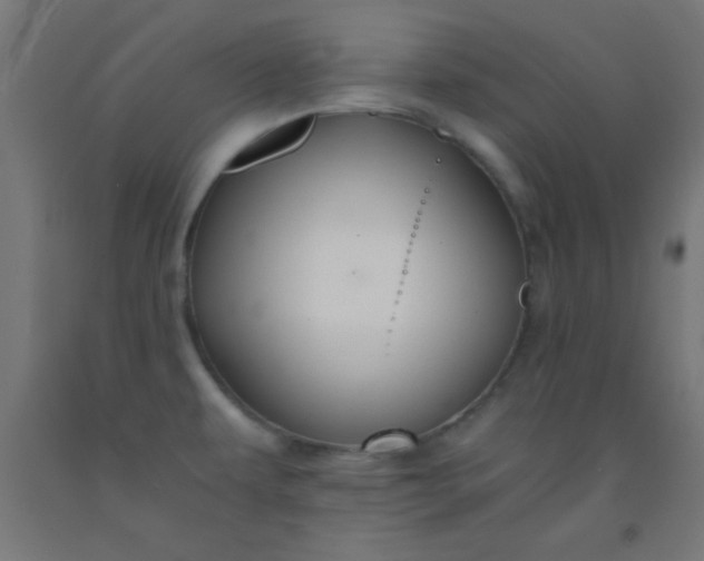 X0000092291479200709281256