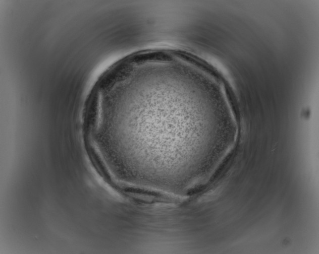 X0000092291480200709281256