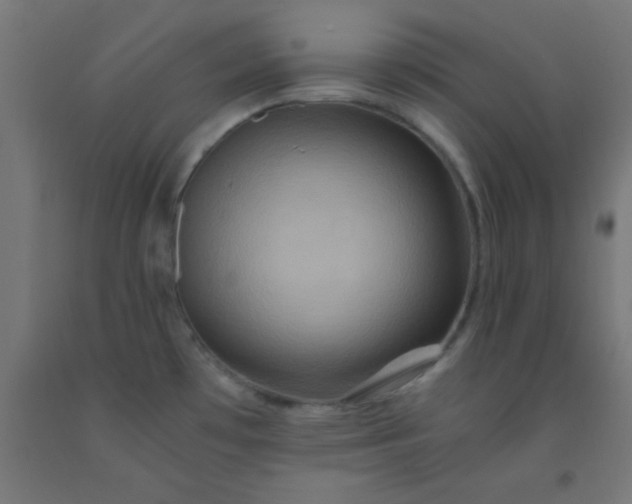 X0000092291481200709281256