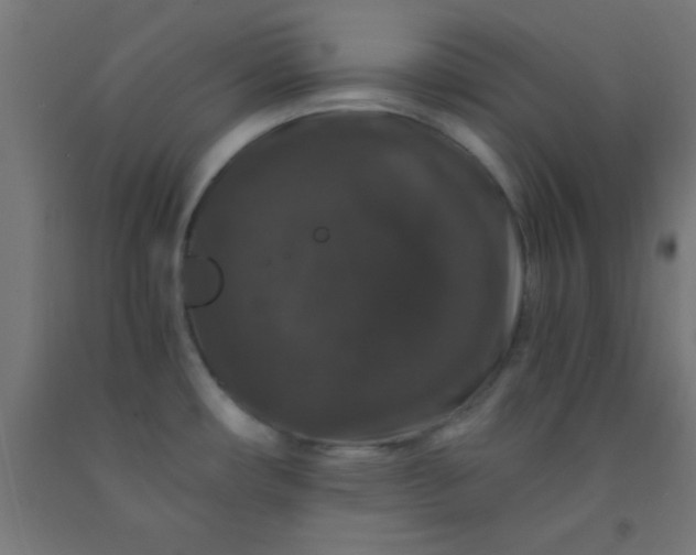 X0000092291482200709281256