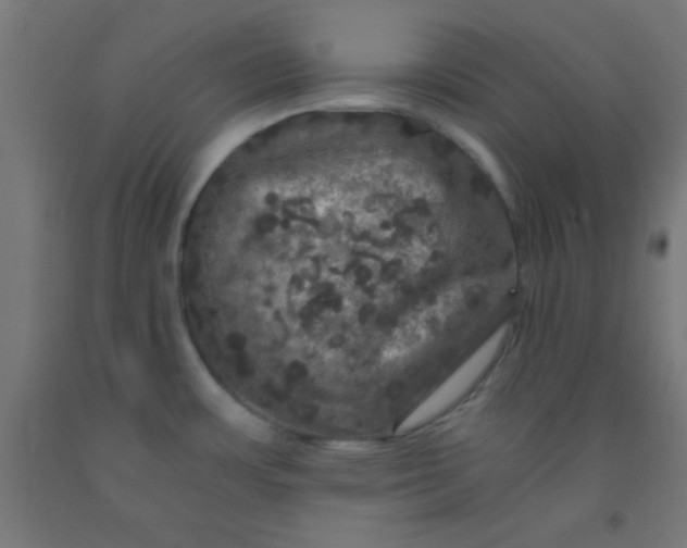 X0000092291483200709281256