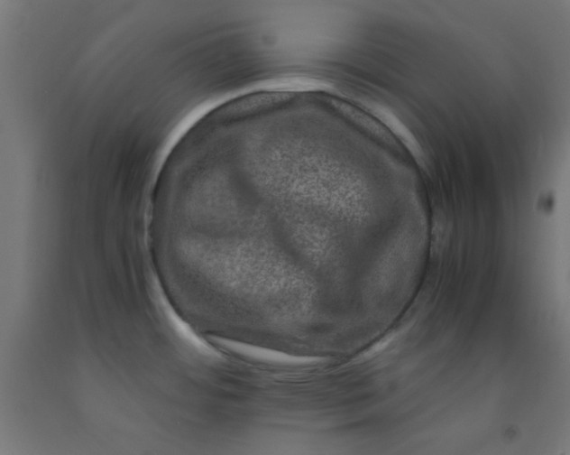 X0000092291484200709281256