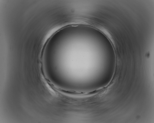 X0000092291485200709281256