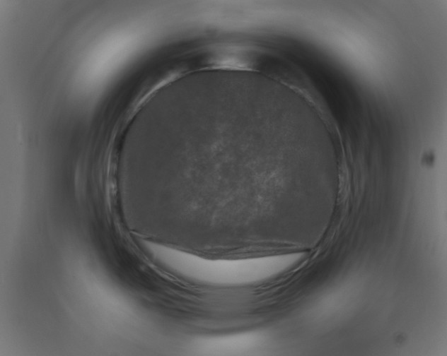 X0000092291487200709281256