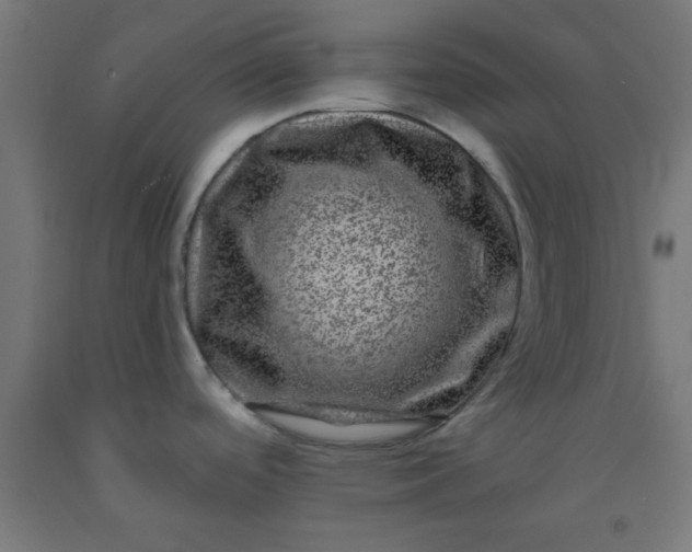X0000092291488200709281256